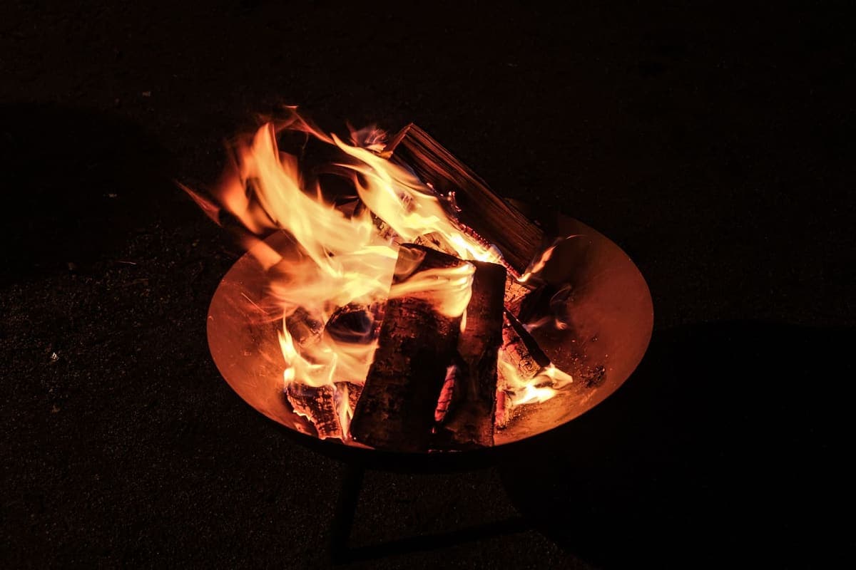 Split firewood burning in an open fire